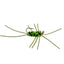 Premium Barbless Pat's Rubber Legs Tungsten Jigged Flies - Black/Chartreuse, Set of 12 (Size 10) - Korvel