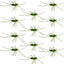 Premium Barbless Pat's Rubber Legs Tungsten Jigged Flies - Black/Chartreuse, Set of 12 (Size 10) - Korvel