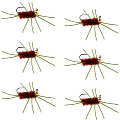 Premium Barbless Pat's Rubber Legs Tungsten Bead Nymphs - Set of 6 Size 10 Flies - Korvel