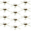 Premium Tungsten Bead Barbless Pat's Rubber Legs Nymphs - Coffee/Black - 12 Pack Size 10 - Korvel