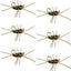 Premium Tungsten Bead Barbless Pat's Rubber Legs Nymphs - Coffee/Black - Set of 6 Size 10 - Korvel