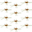 Premium Tungsten Bead Barbless Pat's Rubber Legs Euro Nymphs - 12 Pack Size 10 - Korvel