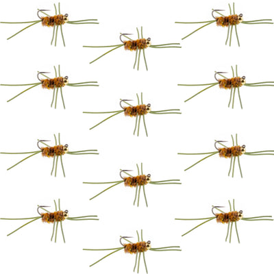 Premium Tungsten Bead Barbless Pat's Rubber Legs Euro Nymphs - 12 Pack Size 10 - Korvel