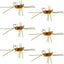 Premium Tungsten Bead Barbless Pat's Rubber Legs Nymphs - Coffee/Tan - Set of 6 Size 10 Flies - Korvel