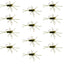 Premium Tungsten Bead Barbless Pat's Rubber Legs Nymphs - Dark Olive, Set of 12 (Size 10) - Korvel