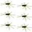Premium Tungsten Bead Barbless Pat's Rubber Legs Euro Nymph - Set of 6 Size 10 Flies - Korvel