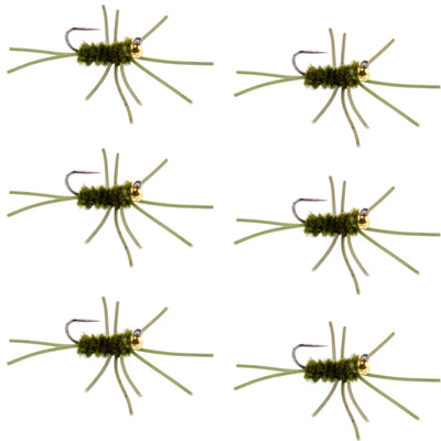 Premium Tungsten Bead Barbless Pat's Rubber Legs Euro Nymph - Set of 6 Size 10 Flies - Korvel