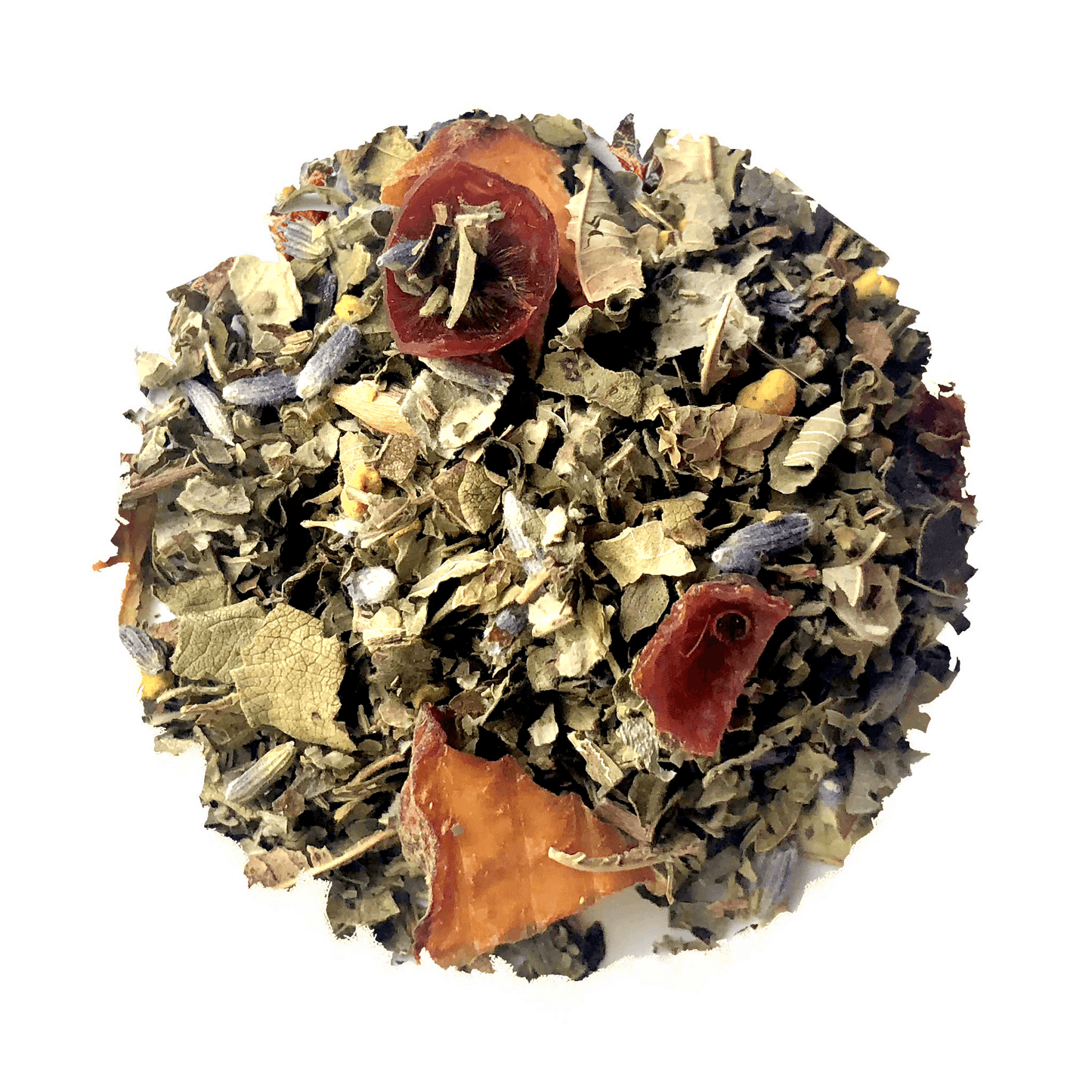 North Jetty Beach - Korvel