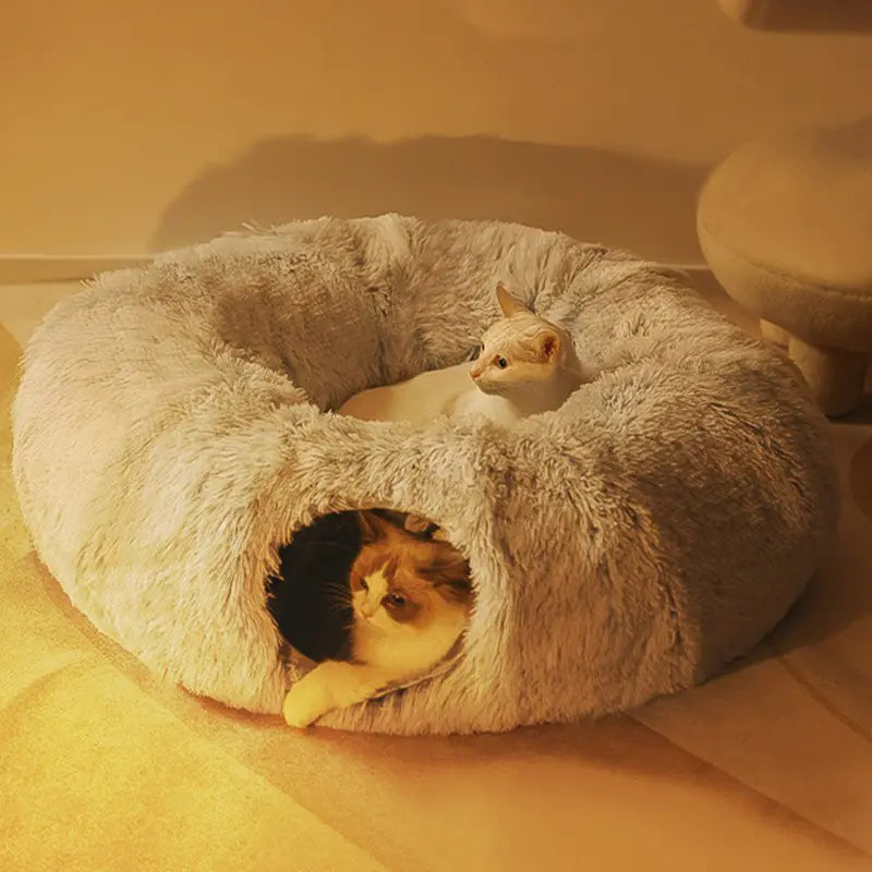 Casa de Camas Acogedora para Gatos para Máximo Confort
