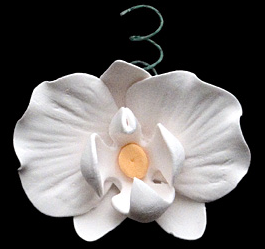 Fleurs et Bourgeons de Phalaenopsis - 27 Pièces Élégantes