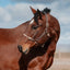 Phoenix Classic Fusion Adjustable Halter - Korvel