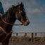 Premium Leather Split Reins for Equestrian Excellence - Korvel