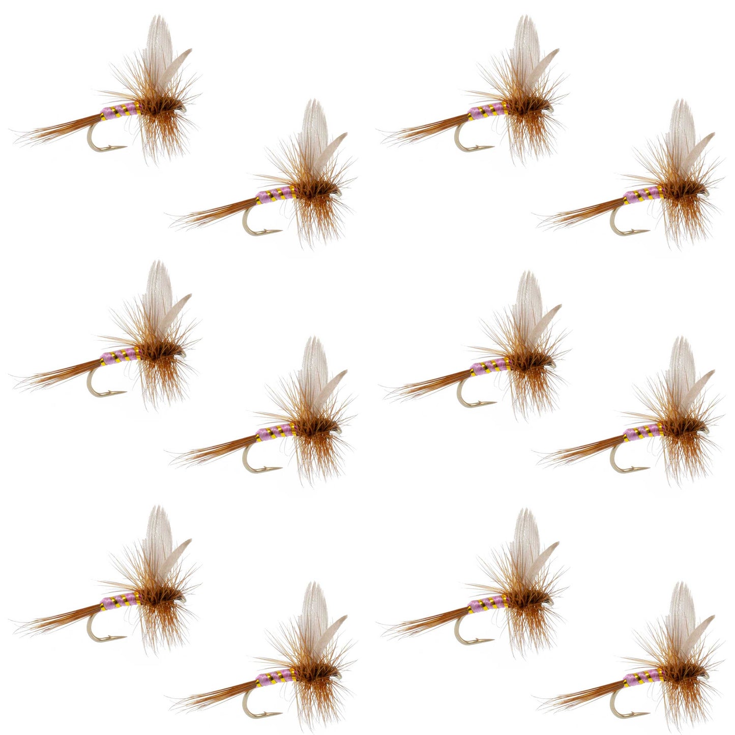 Mouches sèches Pink Lady Classic - Ensemble de 12 Taille 14