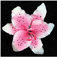 Decoraciones Comestibles Mini Rubrum Rosa - 72 Piezas