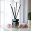 Pisces Zodiac Crystal-Infused Reed Diffuser - Cactus Blossom & Jade Aroma, 100ml - Korvel