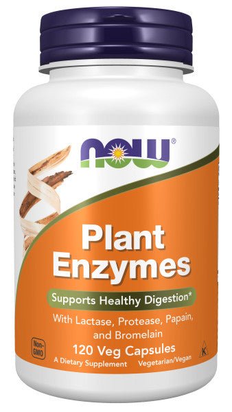Plant Enzymes – Multi-Enzyme Digestive Support Blend