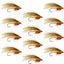 Platte River Classic Streamer Flies - 12 Pack, Size 4 Hooks - Korvel