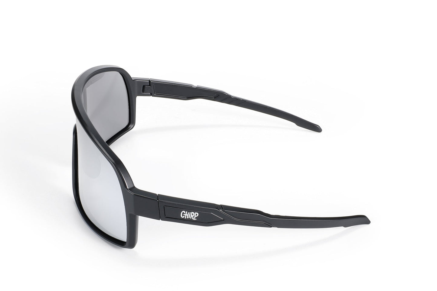 Gafas de sol polarizadas Silver Sty