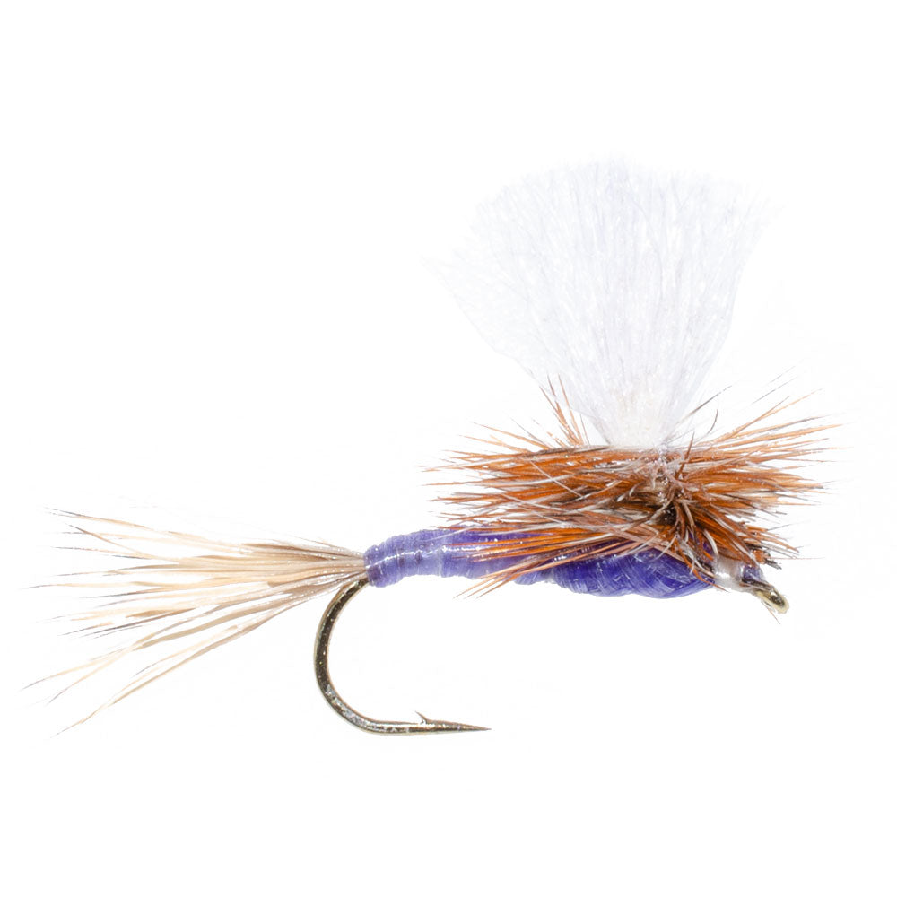 3 Pack Parachute Purple Haze Dry Fly - Size 12 - Korvel