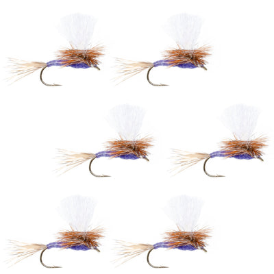 Vibrant Purple Haze Dry Fly - Pack of 6 Size 14 - Korvel