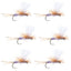 Vibrant Purple Haze Parachute Dry Flies - Set of 6, Size 14 - Korvel