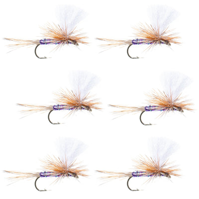 Vibrant Purple Haze Parachute Dry Flies - Set of 6, Size 14 - Korvel