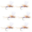 Vibrant Purple Haze Parachute Dry Flies - Pack of 6, Size 12 - Korvel