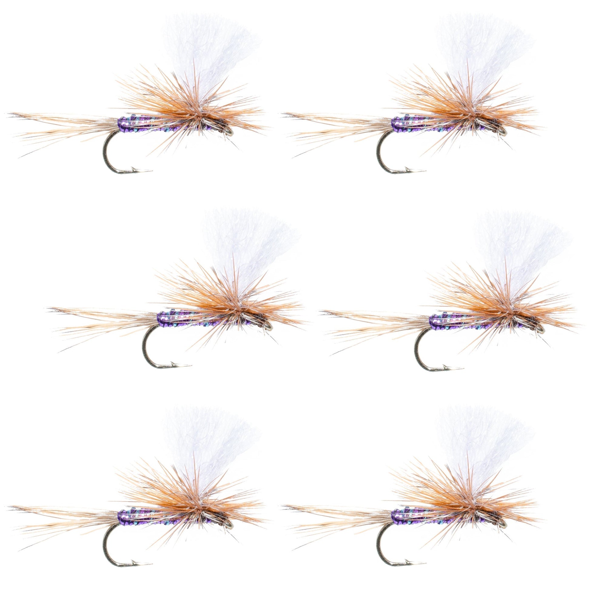 Vibrant Purple Haze Parachute Dry Flies - Pack of 6, Size 12 - Korvel