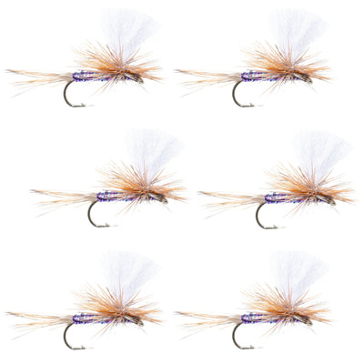 Vibrant Purple Haze Parachute Dry Flies - Pack of 6, Size 12 - Korvel