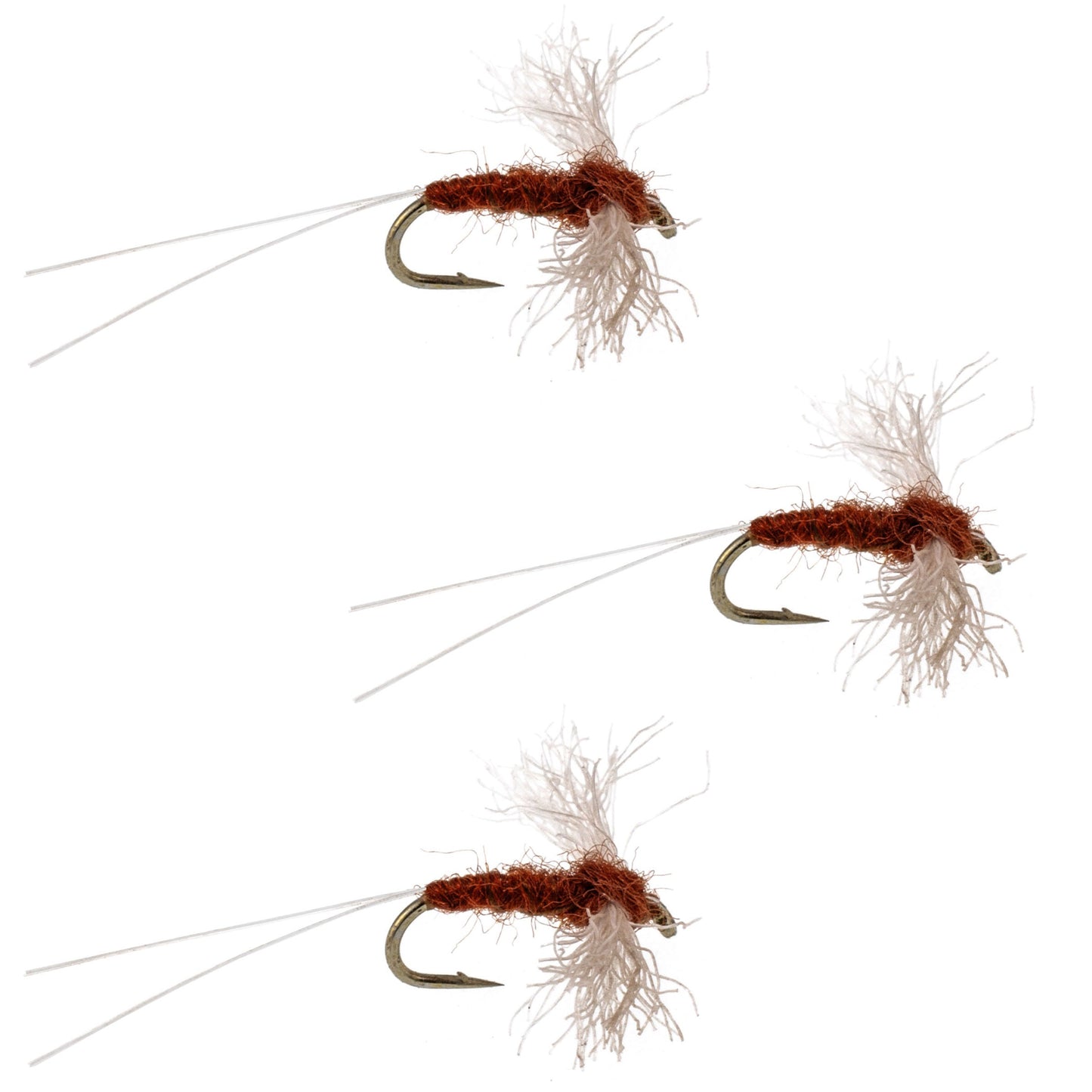 Pack de 3 mouches mayflies à ailes en polyéthylène Rusty Spinner - Taille 22