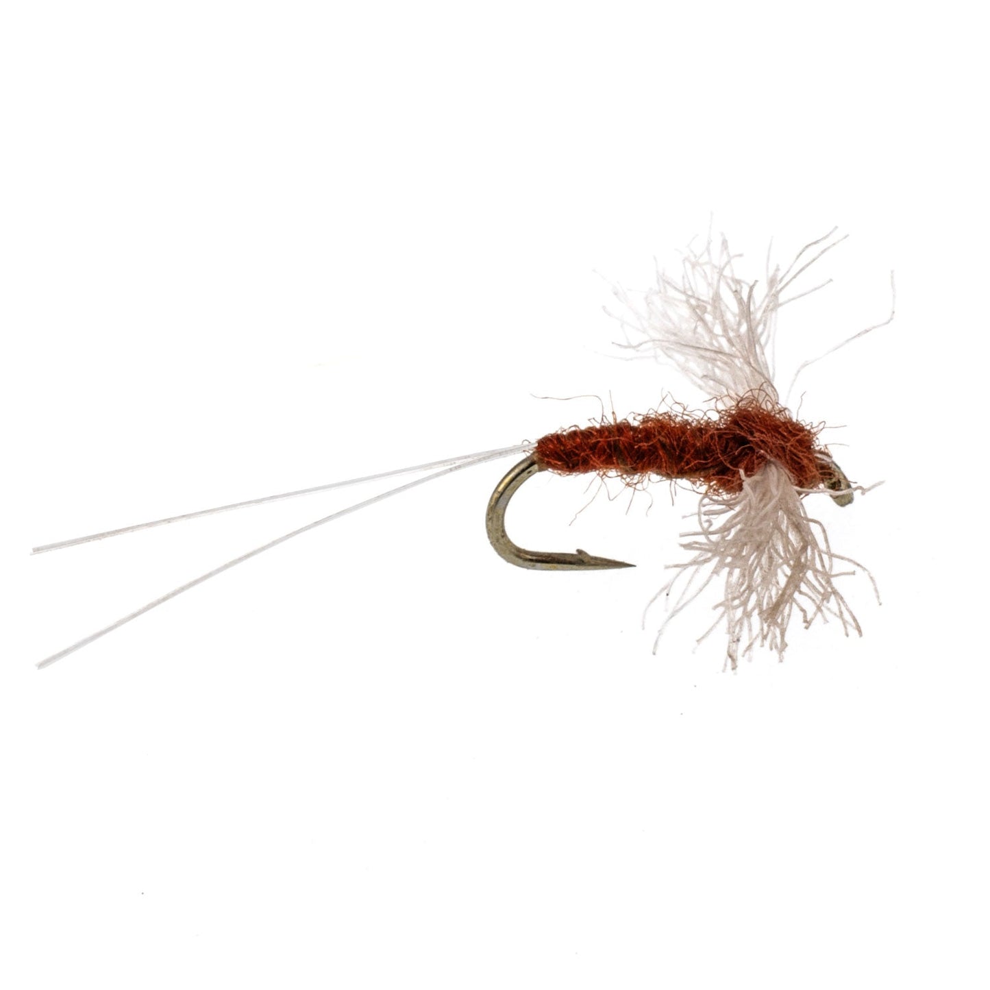 Pack de 3 mouches mayflies Poly Wing Rusty Spinner - Taille 14