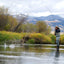 Essential Terrestrial Dry Fly Set - 10 Premium Fishing Flies for Trout and Bass - Korvel