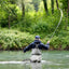Adams Classic Female Dry Fly Set - 6 Size 12 Flies for Trout & Bass - Korvel