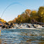 Rainbow Warrior Nymph Fly Fishing Flies - Size 16, Dozen Pack - Korvel