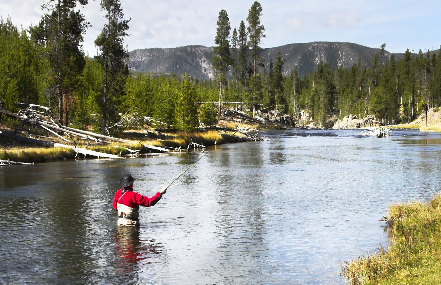 Dolly Llama Stinger Streamer Flies - 3 Pack for Salmon, Steelhead & Trout - Size 4 Black & White - Korvel
