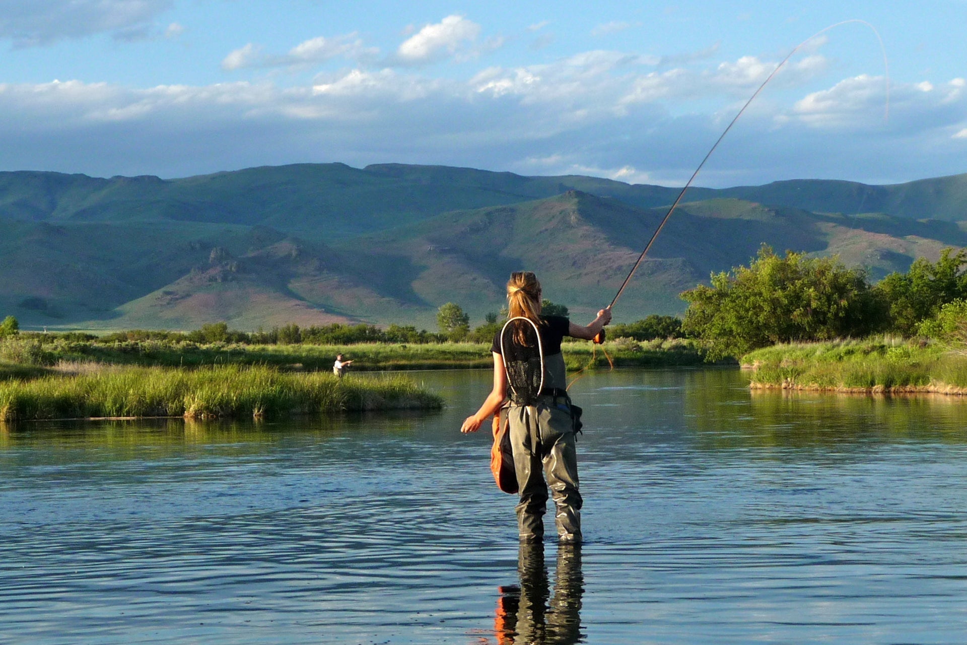 Adams Classic Female Dry Fly - 12 Premium Size 16 Flies - Korvel