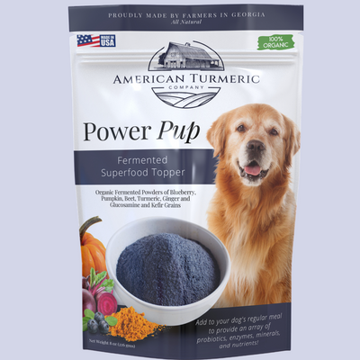 Power Pup Fermented Superfood Turmeric Powder for Pets - Korvel