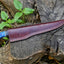 Premium 13-Inch Damascus Boning Knife with Pakkawood Handle - Korvel