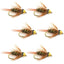 Bead Head Prince Nymphs - Premium Set of 6 Wet Flies for Trout Fishing - Korvel