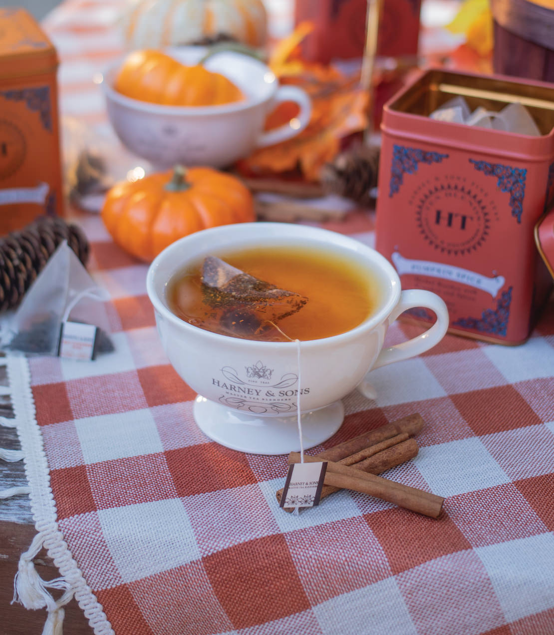 Pumpkin Spice Tea - HT Tin of 20 Sachets