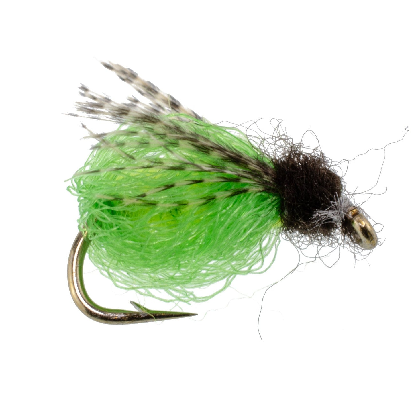 LaFontaine Caddis Pupa Brillante Verde Profundo con Brillo - 6 Moscas Tamaño de Gancho 14