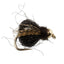 Pupa de Caddis Sparkle Profunda Negra LaFontaine con Cabeza de Perla - Tamaño 16 (12 Moscas)