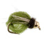 Paquete de 3 Caddis Pupa LaFontaine Olive Deep Sparkle con Cabeza de Perla - Tamaño 14