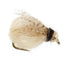 Bead Head LaFontaine Tan Deep Sparkle Caddis Pupa - Size 12 (6 Flies)