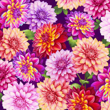 Tela de Algodón Purple Dahlias Blissful Blooms - 43"/44" por Yarda