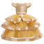 Elegant Tutu Princess Dress for Little Girls