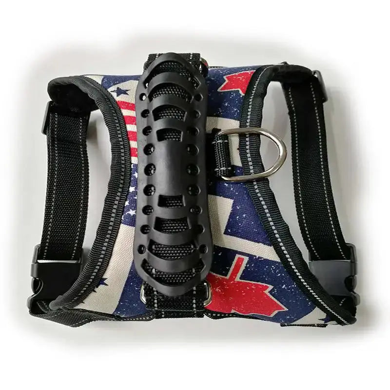 Harnais de Poitrine Premium pour Promenades Confortables