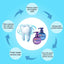 Premium Whitening Toothpaste for Stain Removal