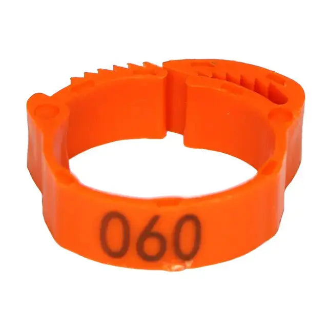 Anillos para patas de pollo - Edición Clucktastic