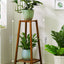 Elegant Multi-Tier Indoor Plant Stand for Living Rooms